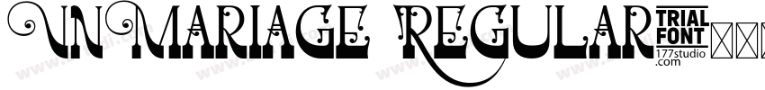 VnMariage Regular字体转换